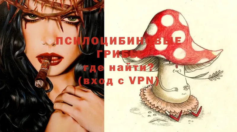 Псилоцибиновые грибы Psilocybe  Белая Холуница 